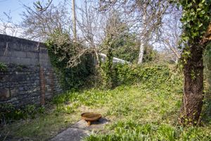 Photo 15- click for photo gallery